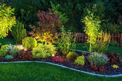 Best Landscaping Ideas for Buford, GA Homes (2026 Guide)