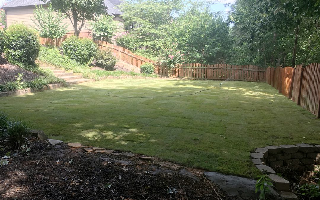 Grading and Drainage Company Braselton Georgia