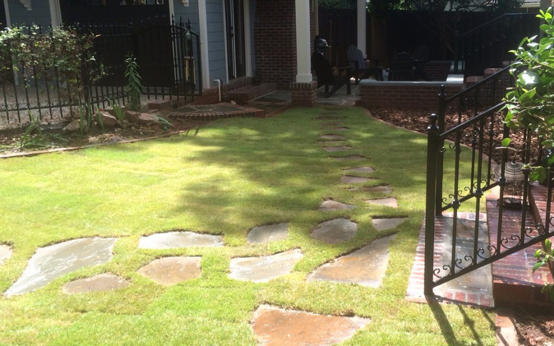 The Ultimate Guide to Sod Installation in Buford, GA