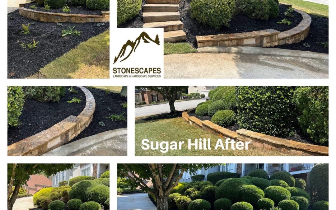 Transforming a Sugar Hill, GA Slope: A Stunning Before & After Landscape Evolution